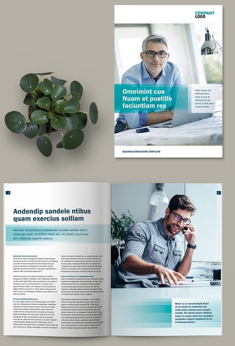 Business Brochure or Magazine Layout with Teal Accents