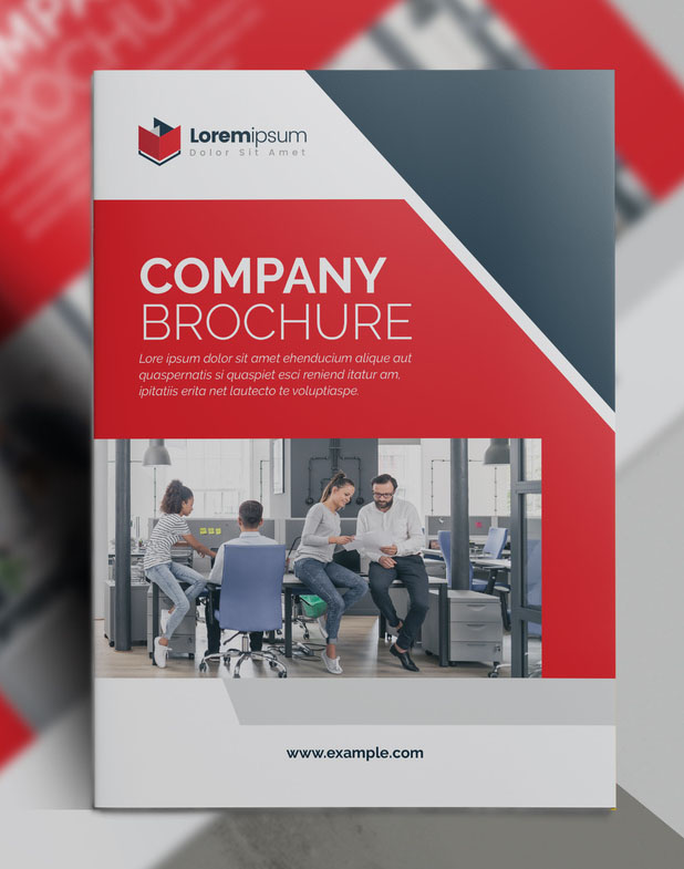Company Proposal Brochure with Red Accents