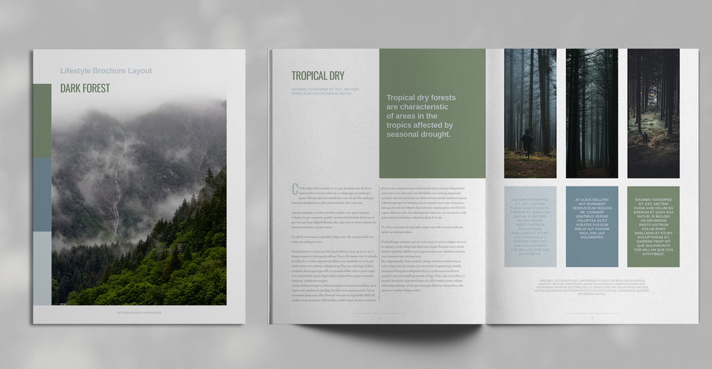 Green Forest Brochure Layout
