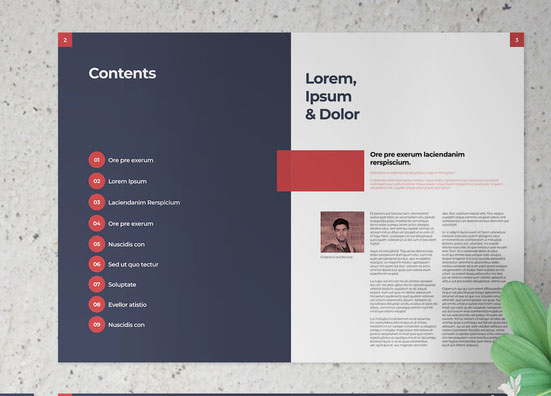 Presentation Brochure Layout with Navy and Red Elements
