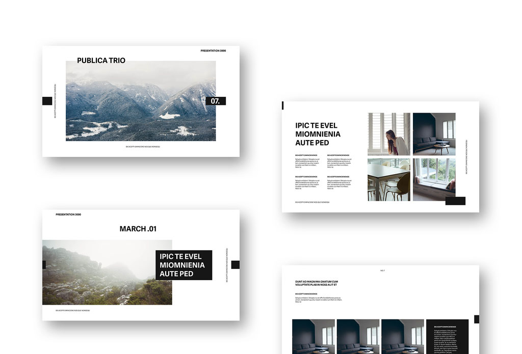 Black and White Pitch Deck Layout