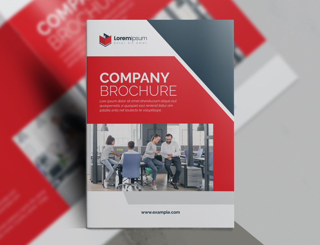 Company Proposal Brochure with Red Accents
