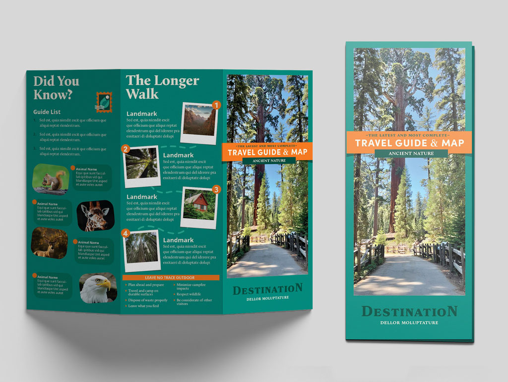 Travel Guide & Map Half Trifold Brochure